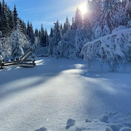 Prázdninový dům Atmospheric Log By Myllavannet